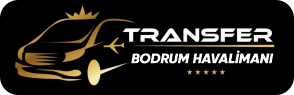 transfer logo 1